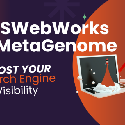 DRTSWebWorks SEO MetaGenome